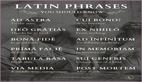 A Profile Of A Latin Beauty