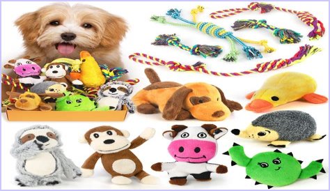 Best Toys for Pets Home Alone